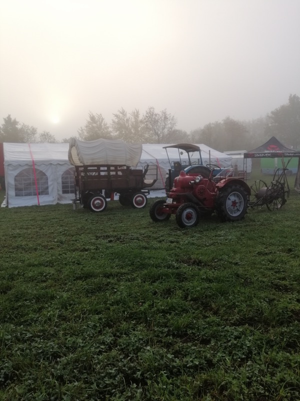 IMG_20221023_090822